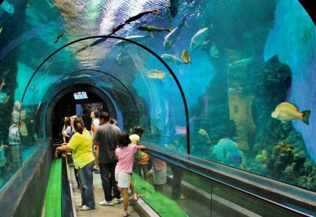 aquarium